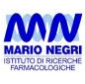 ritratto di Istituto di Ricerche Farmacologiche Mario Negri