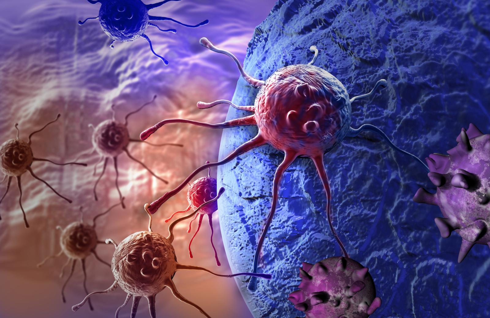La Fisica del Cancro | Scienza in rete