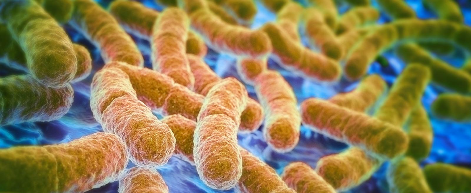 Microbioma un mondo dentro di noi Scienza in rete