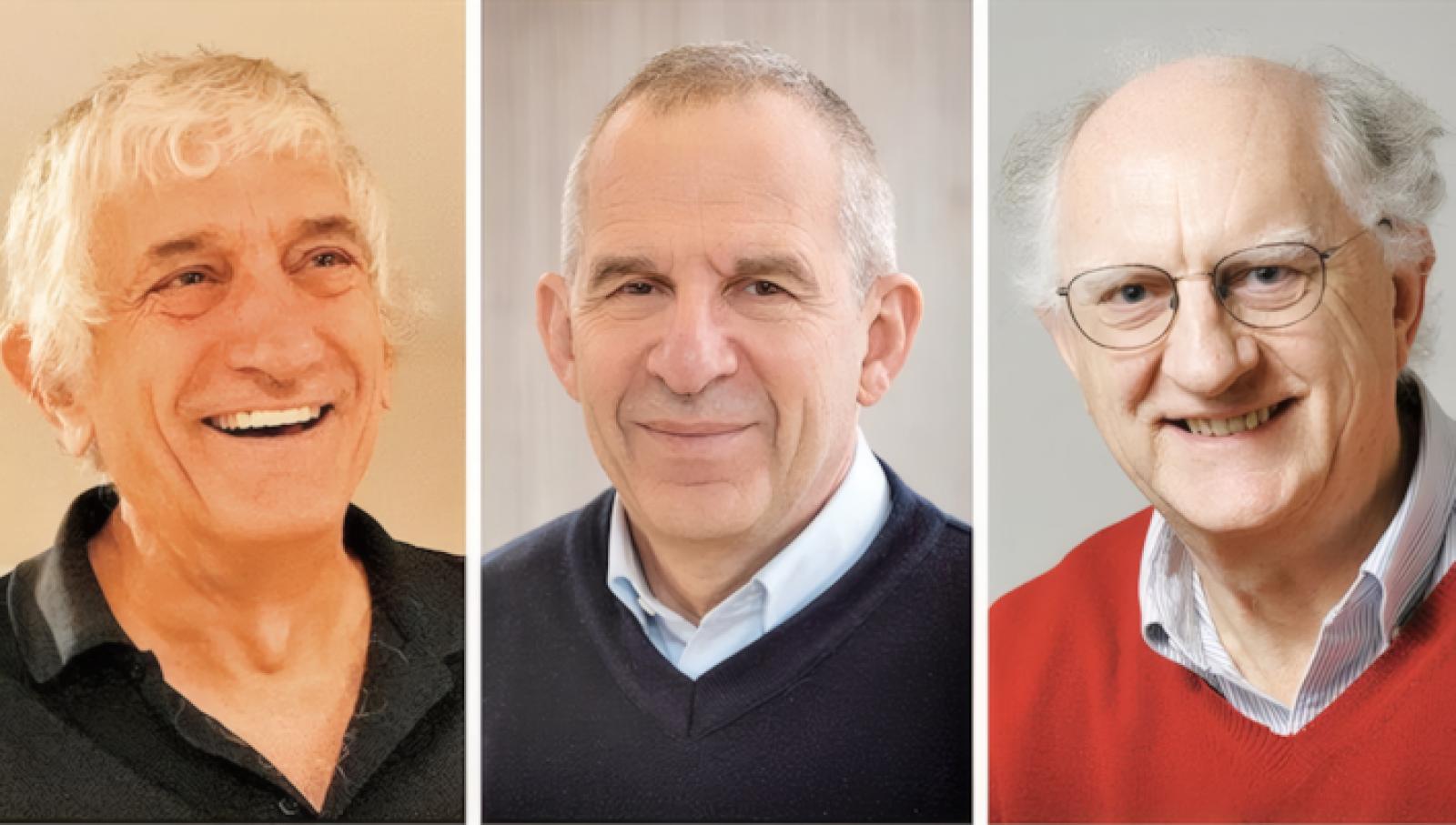 image not described image