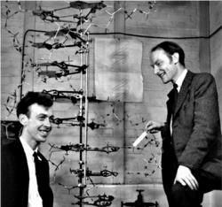Francis Crick e James Watson