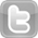 icona Twitter