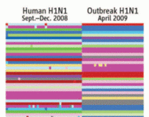 Tutti i colori dell'influenza