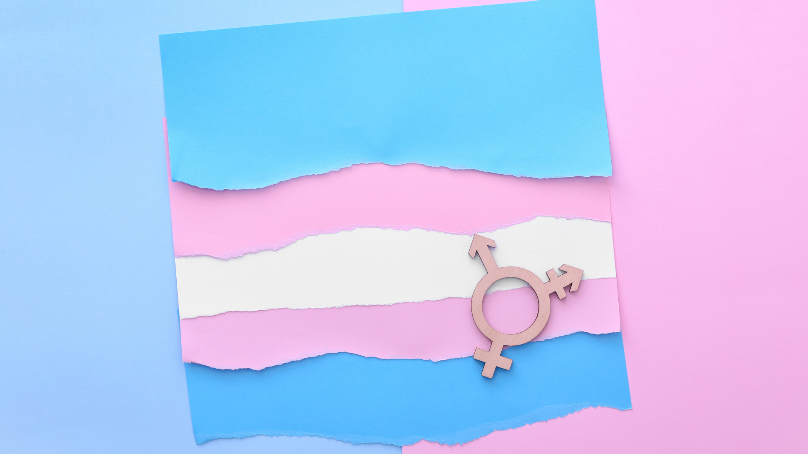 simbolo e colori persone trans