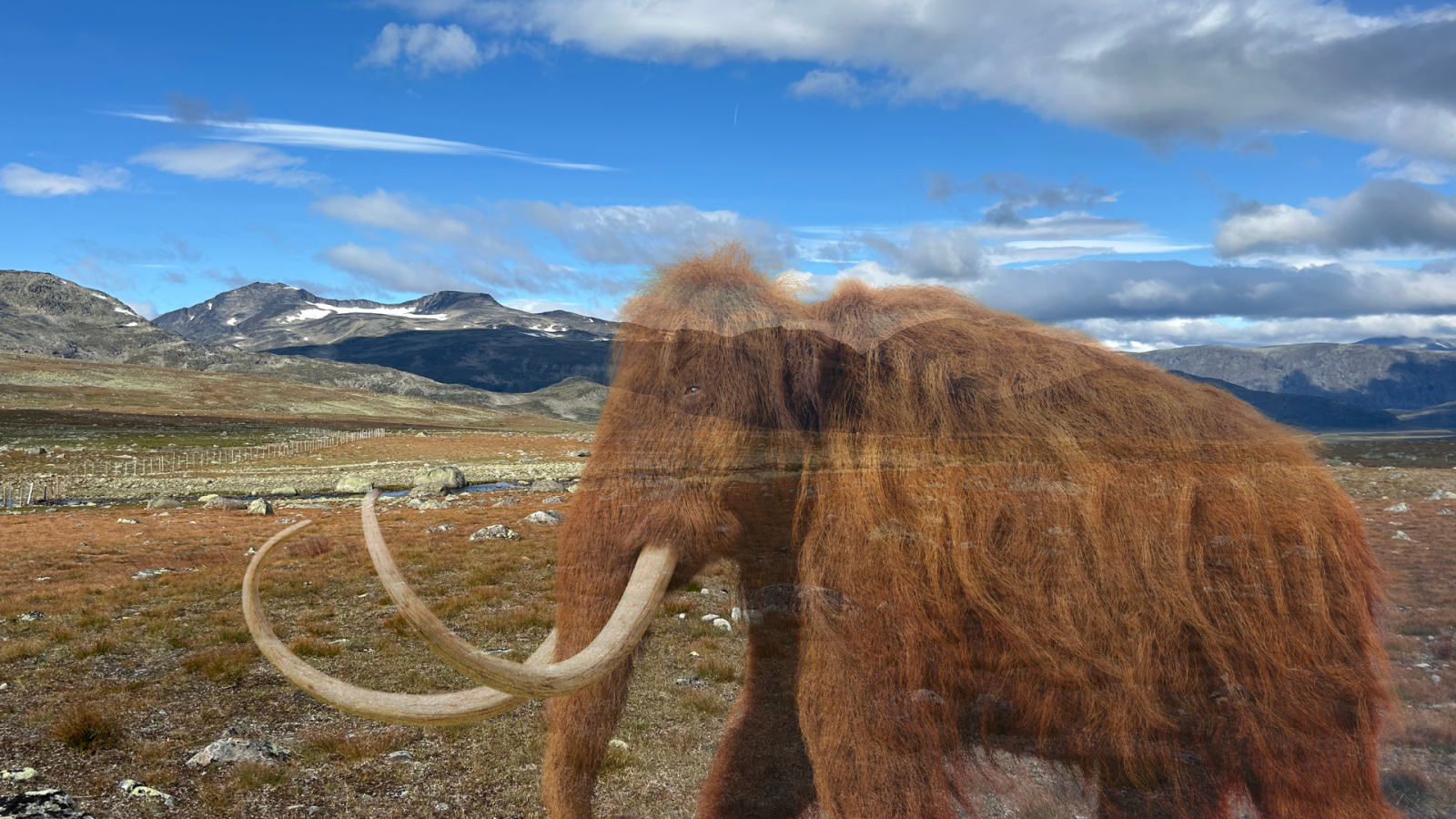 steppa con mammut semitrasparente in primo piano