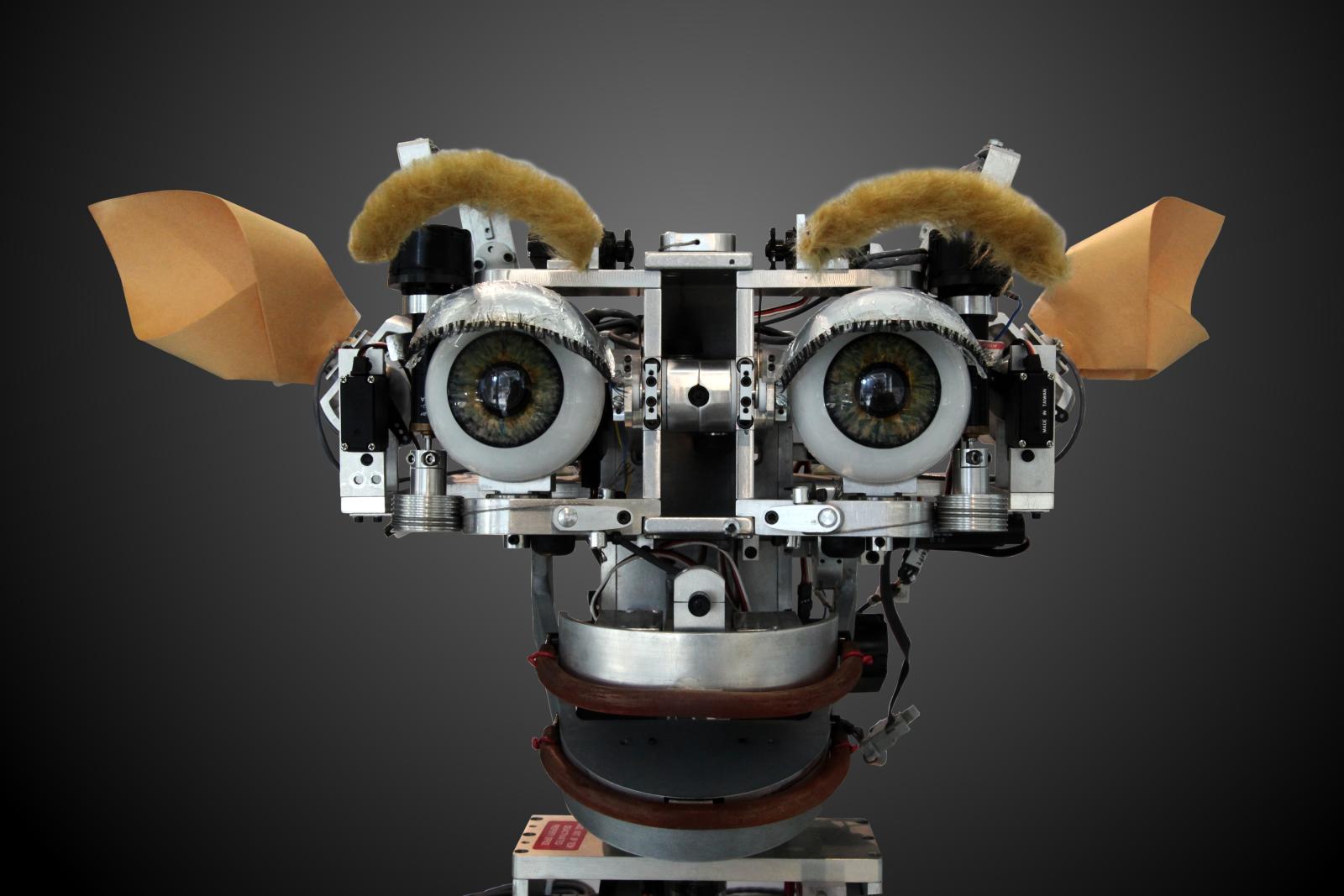 Testa robotica