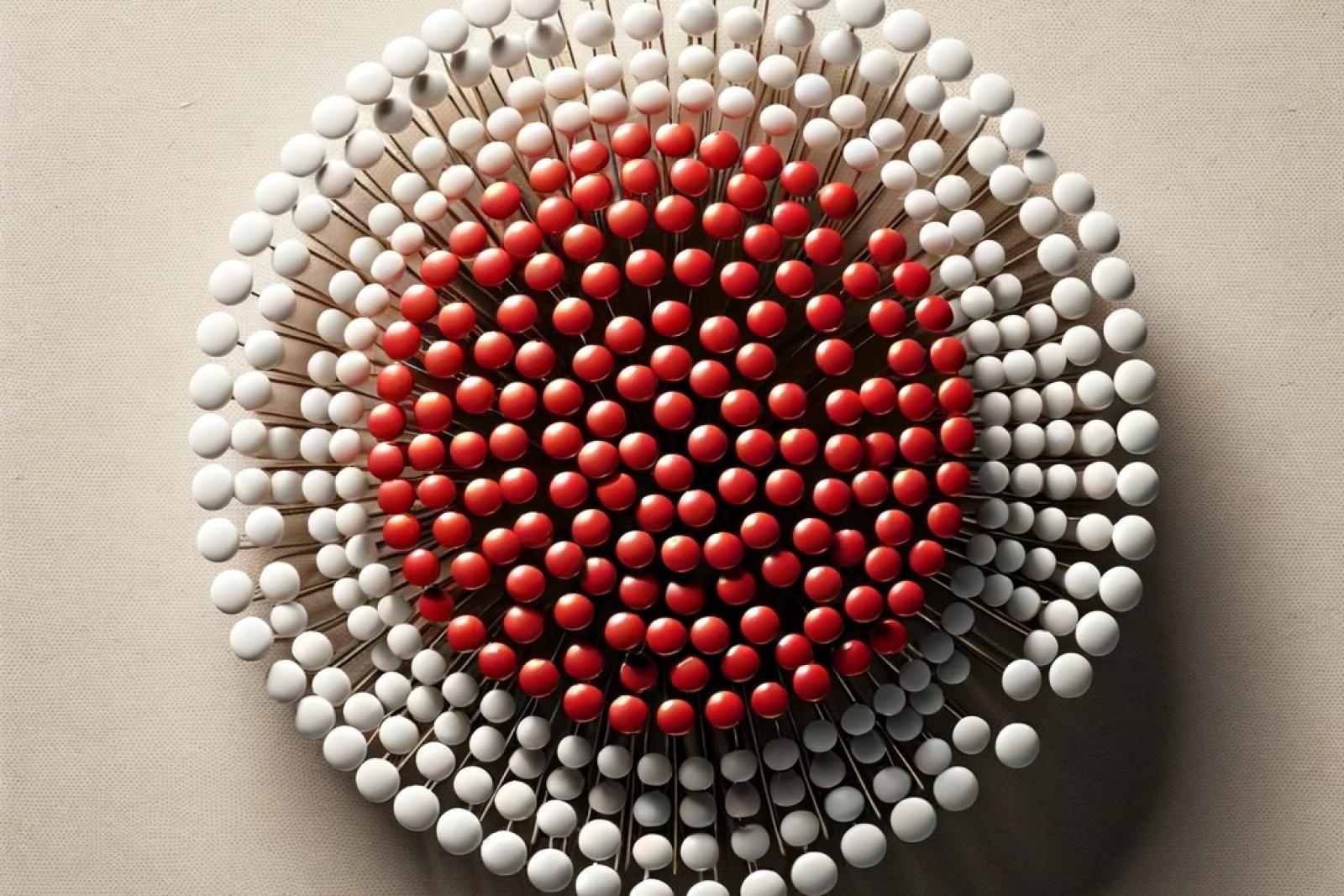 Un cerchio tutto formato di capocchie di spillo bianche con al centro un disco tutto formato da capocchie di spillo rosse