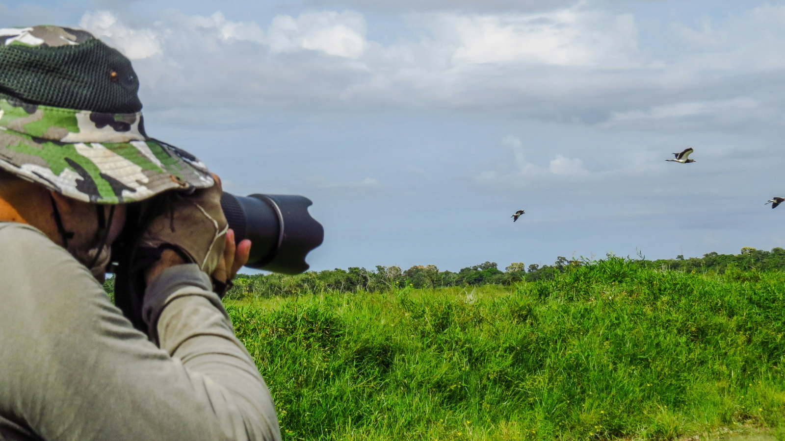 Un uomo punta l'obiettivo di una macchina fotografica verso alcuni uccelli in volo