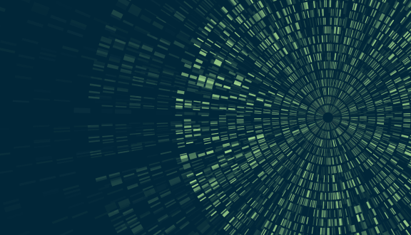 sequenziamento di DNA in formato circolare