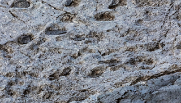 orme di dinosauro nella roccia