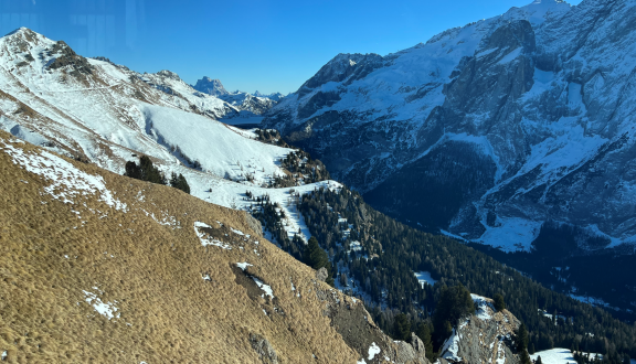 panorama verde sul lago fedaia