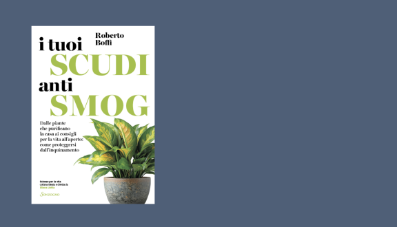 Copertina libro Boffi