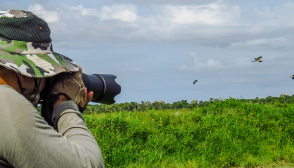 Un uomo punta l'obiettivo di una macchina fotografica verso alcuni uccelli in volo