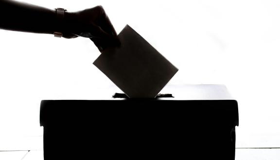 In controluce nero su fondo bianco una mano introduce una scheda elettorale nell'urna