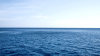 foto dell oceano pacifico