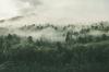 una foresta con nuvole