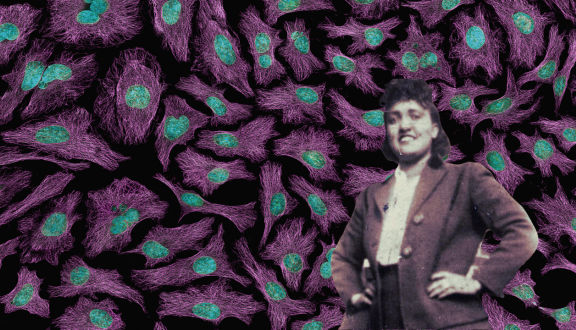 Henrietta Lacks