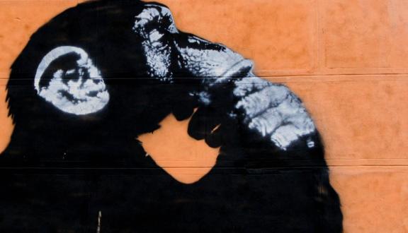 Juan Antonio Segal, We're Homo sapiens