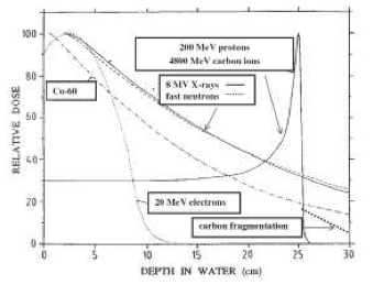 Figura 1. Dipendenza dalla profondità della dose depositata per differenti campi di irradiazione. Grazie al picco di Bragg, la distribuzione della dose di adroni carichi è molto…