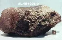 Meteorite di Allen Hills (ALH84001) Meteorite di Allen Hills (ALH84001)