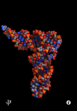 Molecules 4 Molecules 4