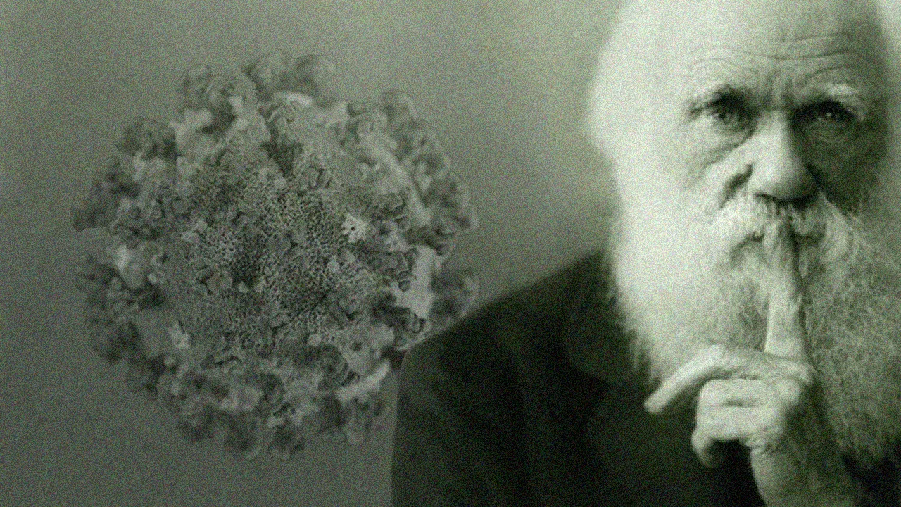 Charles Darwin e la sorella Catherine ritratti da Ellen Sharples nel 1816 Charles Darwin e la sorella Catherine ritratti da Ellen Sharples nel 1816