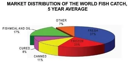 Grafico 1: distribuzione del mercato mondiale della pesca