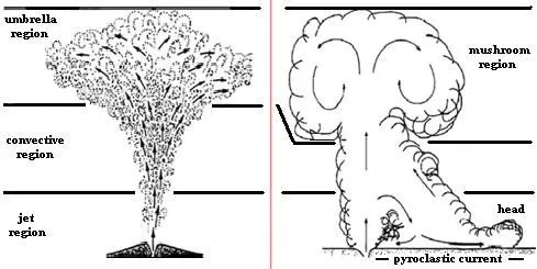 Fig. 1: The two possible evolutions of the pyroclastic column