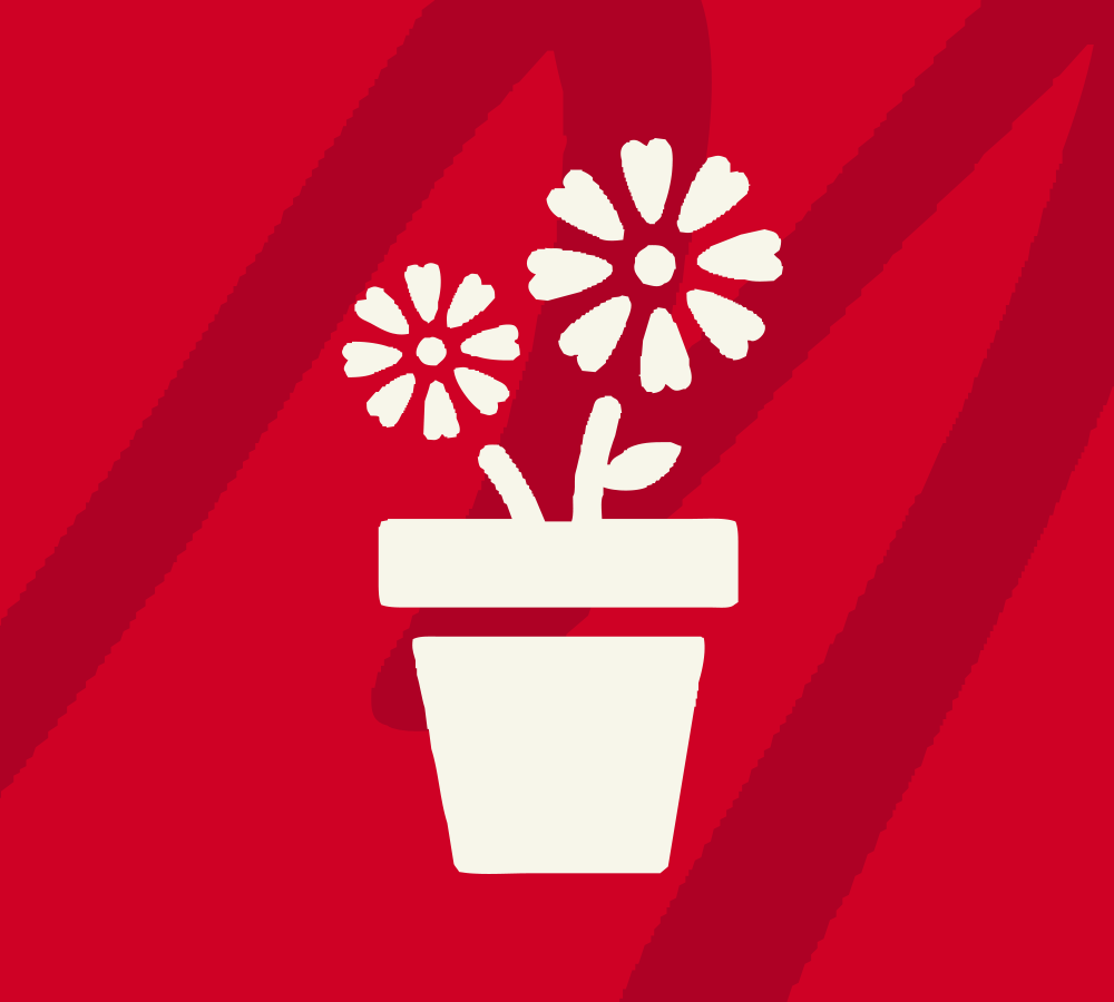 I fiori di Arianna