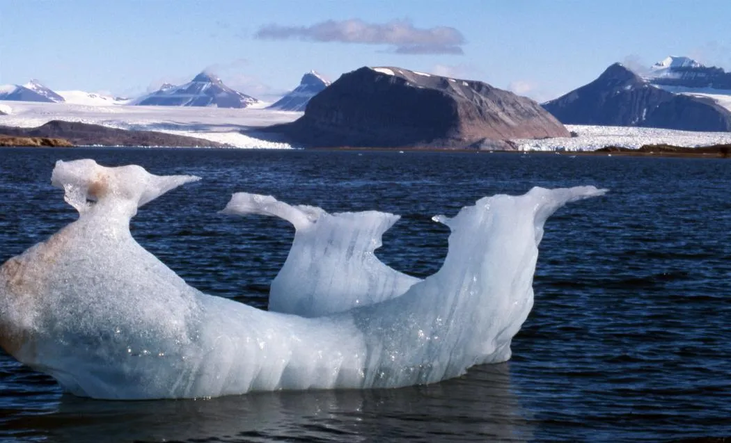 Scioglimento del ghiaccio, Ny Ålesund, Isole Svalbard, agosto 2014