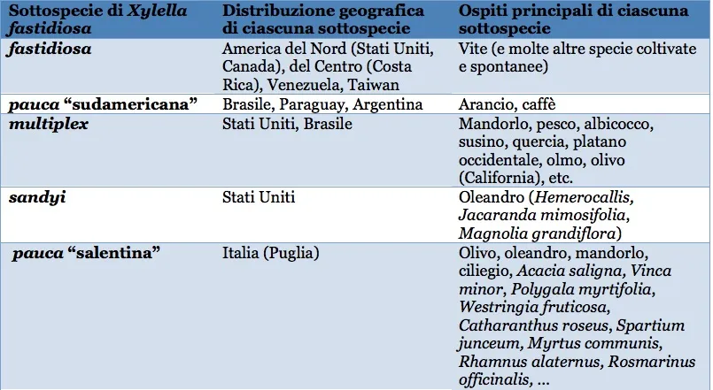 Tab. 1. Sottospecie di Xylella fastidiosa, loro distribuzione geografica e piante attaccate