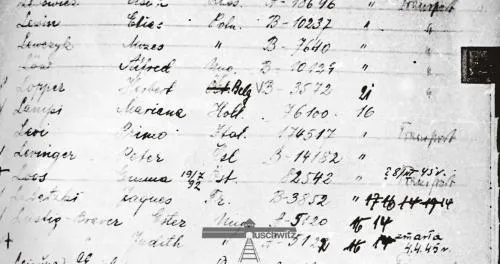 Firma di Primo Levi, con numero.
