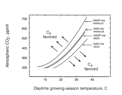 Figura 13: Zone ottimali della resa di monocotiledoni e dicotiledoni in funzione della concentrazione di CO₂ in atmosfera e della temperatura diurna nel periodo di accrescimento
