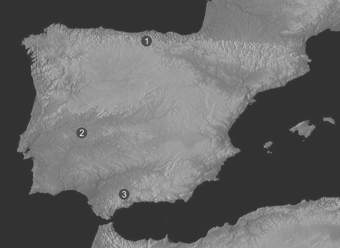 La mappa della Penisola Iberica. I punti indicano le tre grotte (1: La Pasiega, 2: Maltravieso, 3: Ardales)