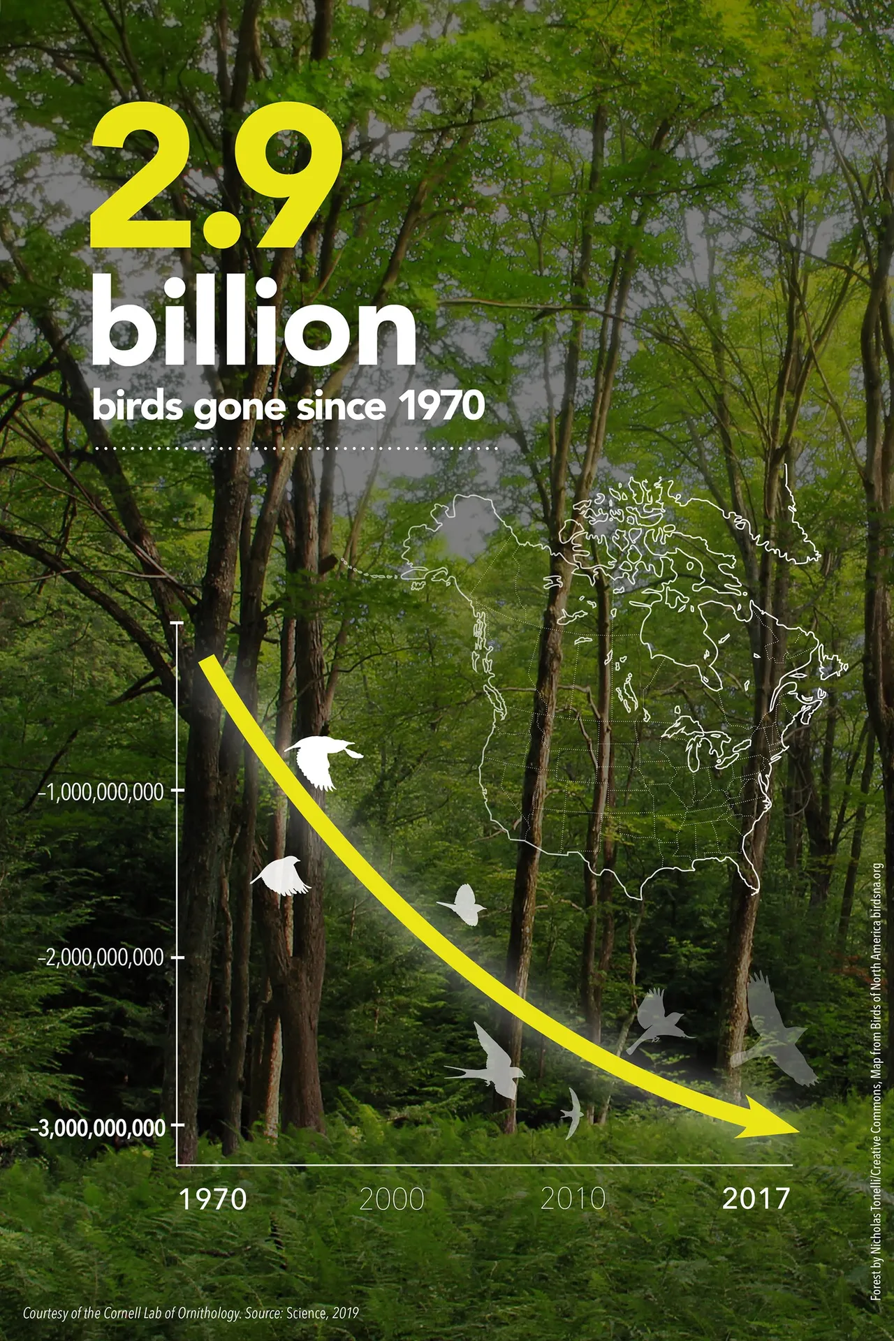 I dati mostrano che, dal 1970, gli Stati Uniti e il Canada hanno perso quasi 3 miliardi di uccelli. Si tratta di una massicia riduzione dell’abbondanza di questi animali, che…