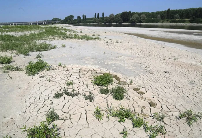 Po in secca, 2019