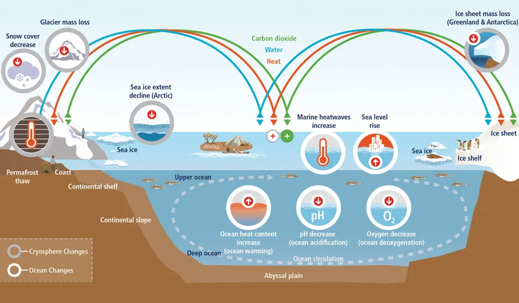 Figura 1 Illustrazione schematica dei componenti chiave e dei cambiamenti dell’oceano e della criosfera, e dei loro collegamenti nel sistema terrestre attraverso il movimento di…