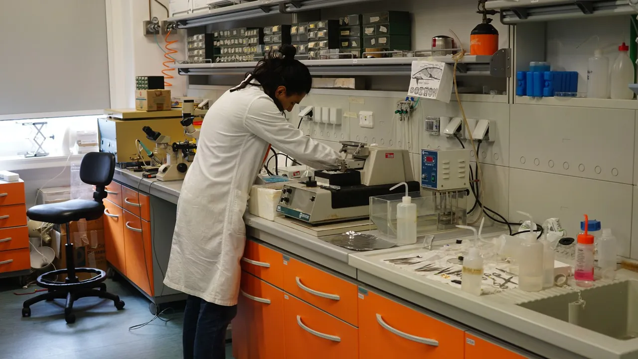 Un ricercatore nel laboratorio di neurobiologia