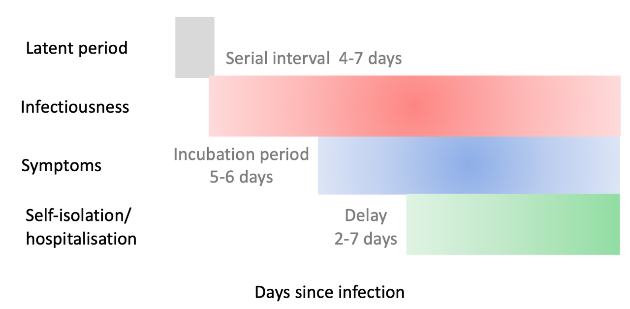Caratteristiche dell’infezione da COVID-19 che condizionano il modo in cui le misure di mitigazione incideranno sulla curva epidemica. Se la contagiosità comincia prima dei sintomi diventa cruciale il ritardo con cui una persona contagiosa cerca cure o si auto-isola.