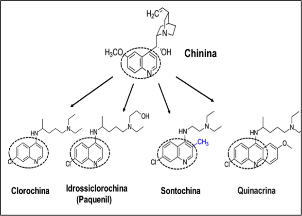 Figura 2. La struttura della chinina