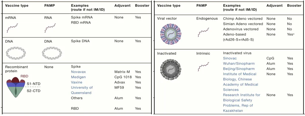 Figura 1 – Le piattaforme vaccinali utilizzate per la realizzazione di vaccini contro il SARS-CoV-2. Fonte Akiko Iwasaki, Saad B. Omer, Why and How Vaccines Work. Cell, Volume…