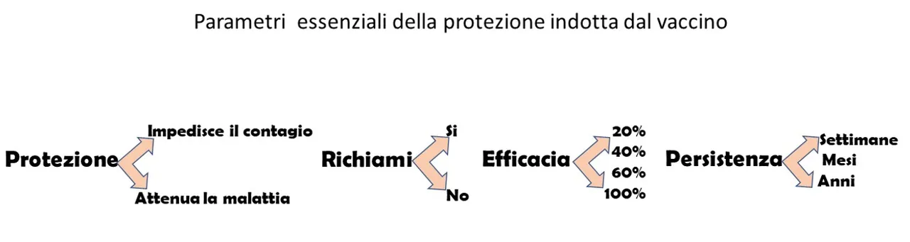 Figura 2. Gli aspetti principali della protezione indotta da un vaccino che devono essere stimati per poter valutare quale vaccino possa essere utile per la popolazione e quale…