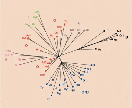 Figura 2 Dall’articolo originale The phylogeny of The Canterbury Tales (Nature, 1998)
