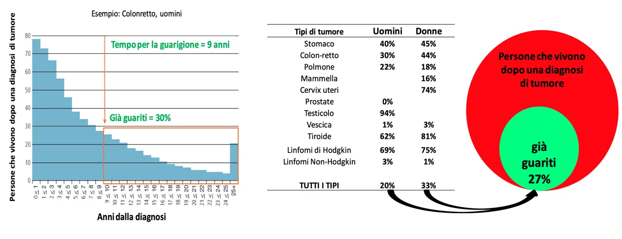Figura 4. Percentuale di persone già guarite tra i pazienti che vivono dopo una diagnosi di tumore