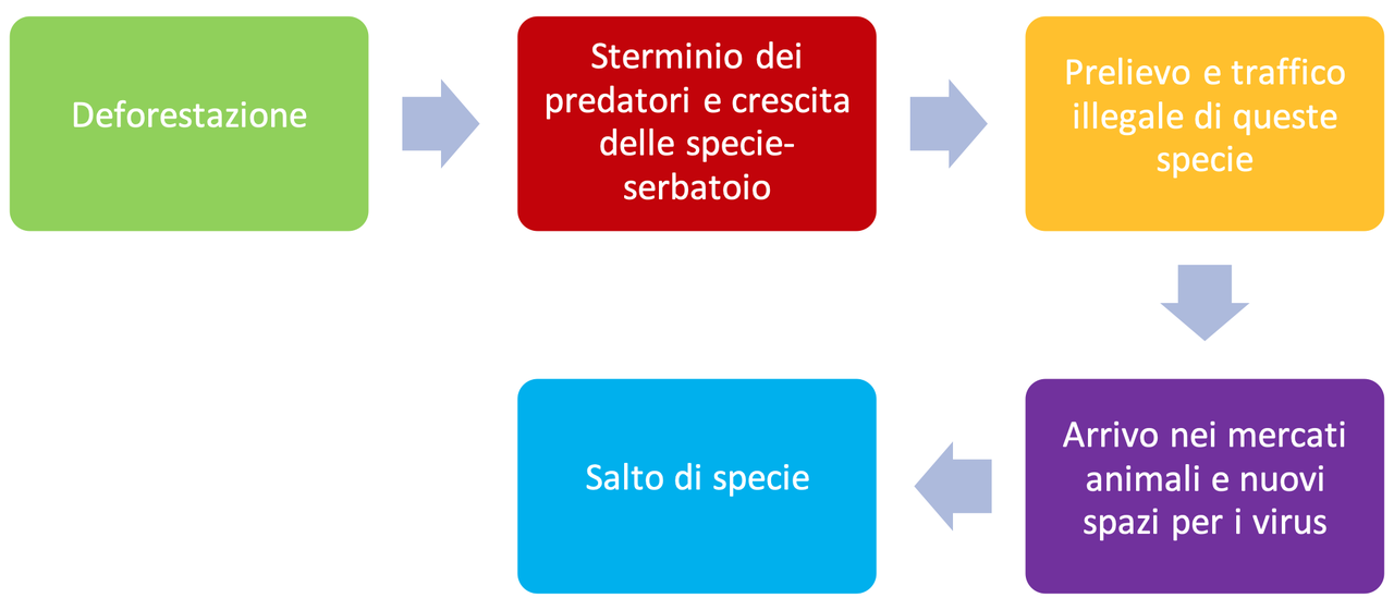 Figura 1. Fattori che favoriscono il passaggio di specie dall’animale all’uomo