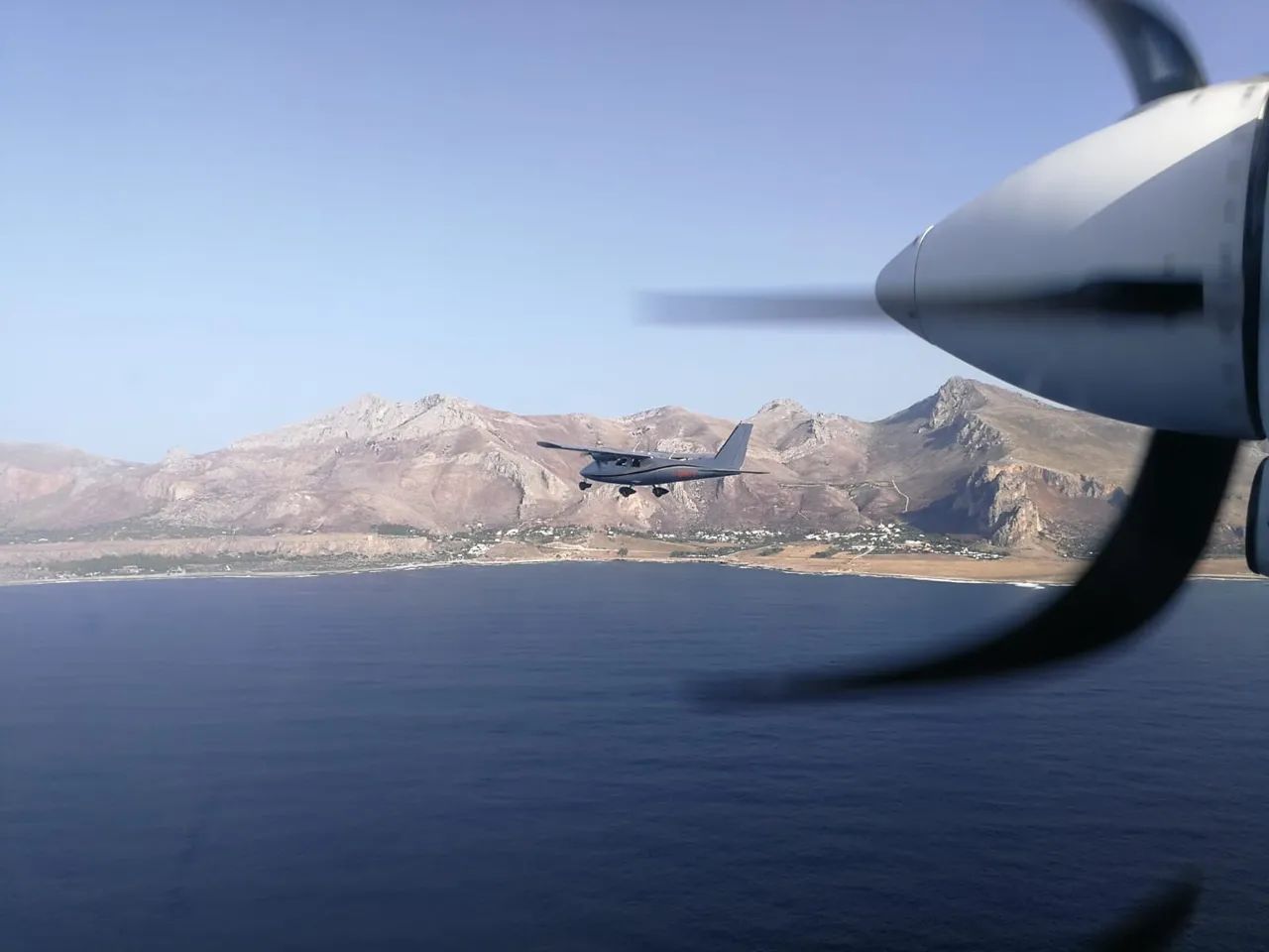 Survey aereo dei cetacei