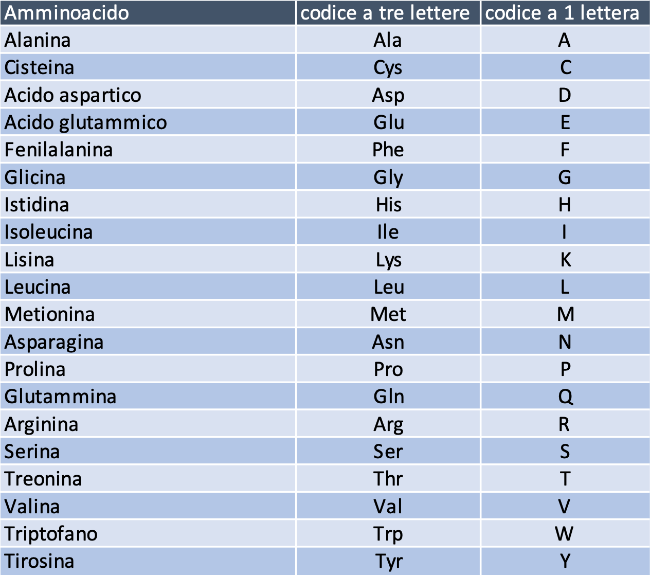Figura 1. I 20 aminoacidi ordinari