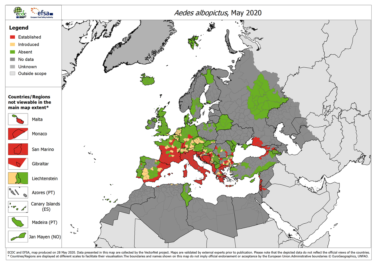 La distribuzione di A. albopictus in Europa nel 2020