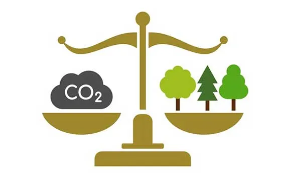 Figura 4. Le aree forestali generano un assorbimento netto di carbonio