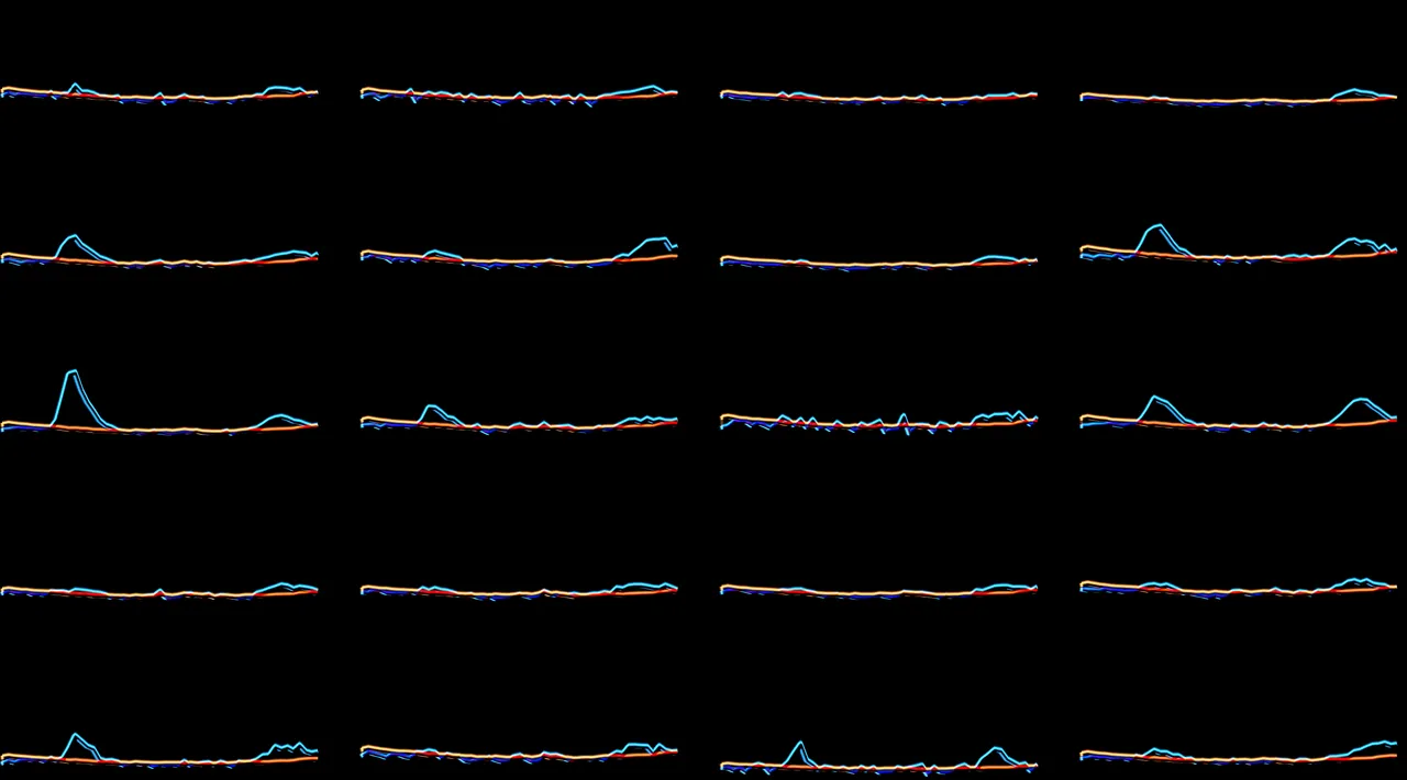 Venti piccoli grafici a linee su fondo nero, con curve azzurre e arancioni che salgono in alcuni periodi.